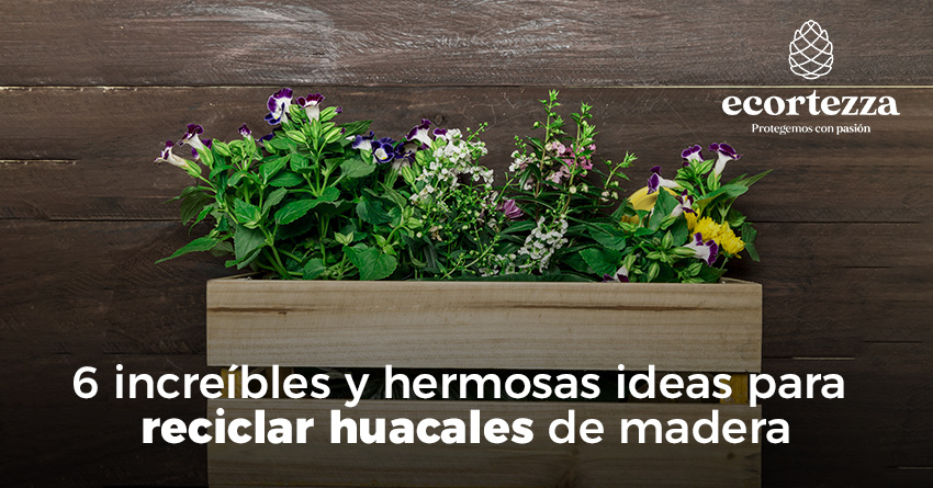 img articulo ideas para reciclar